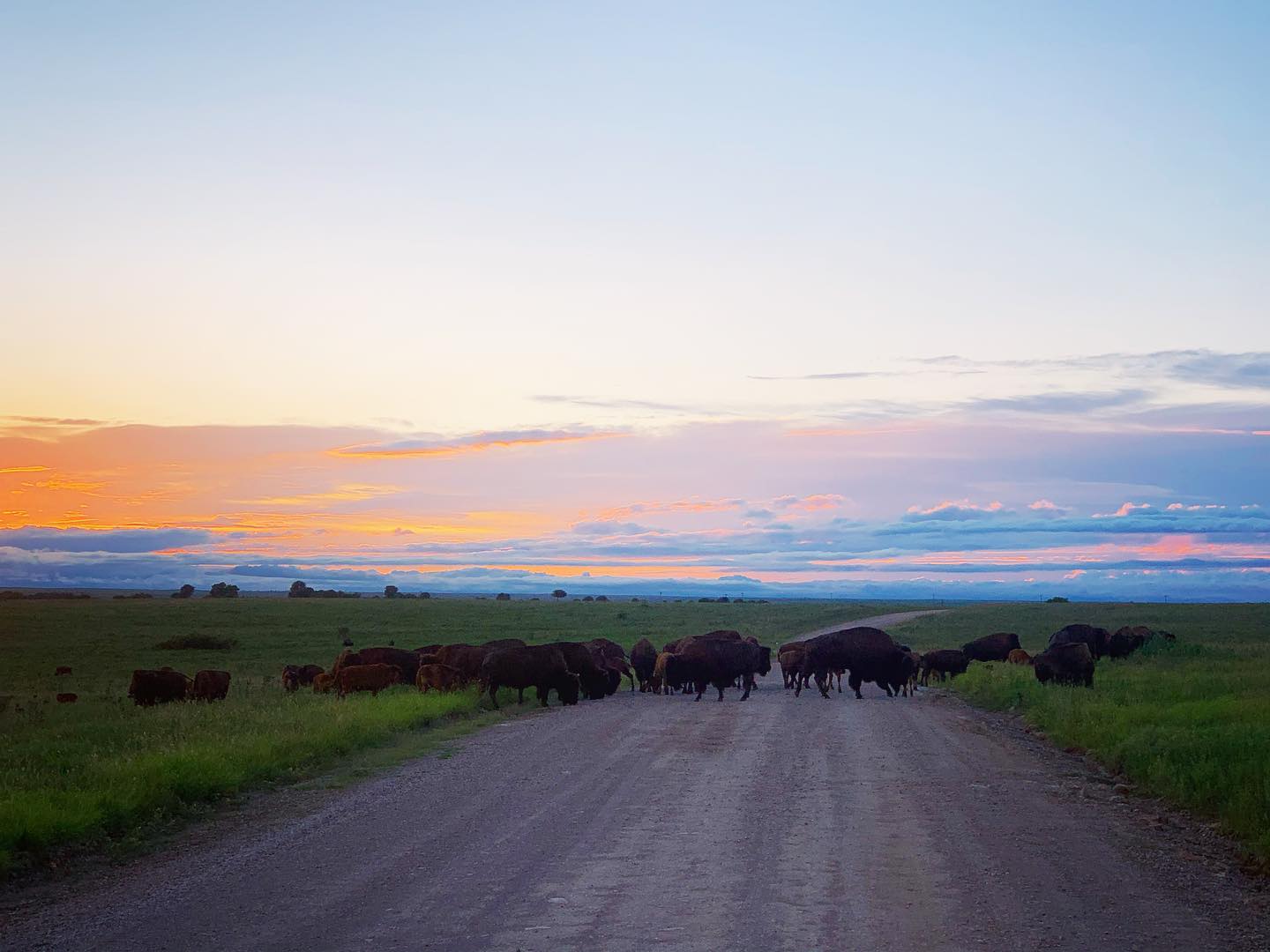 Tallgrass Prairie Oklahoma